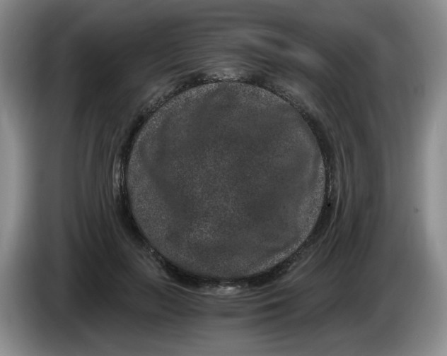 X0000084040647200703092032