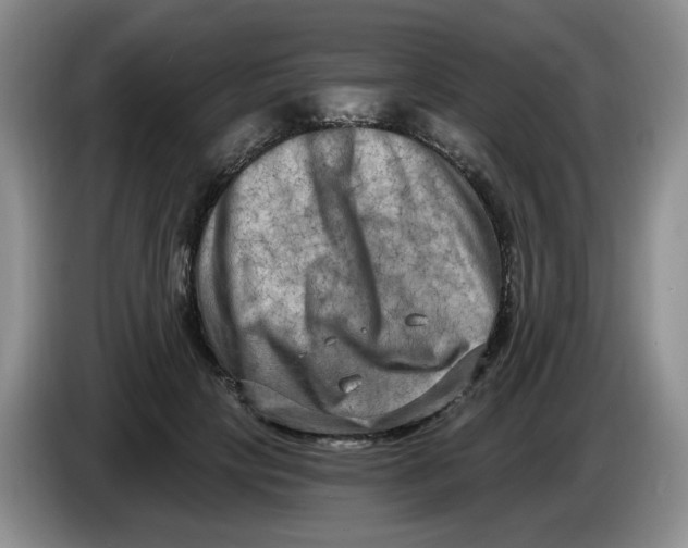 X0000084040649200703092032