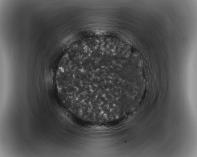 X0000084040650200703092032