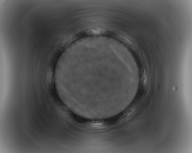 X0000084040651200703092032