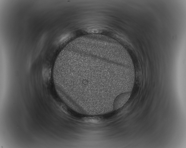 X0000084040652200703092032