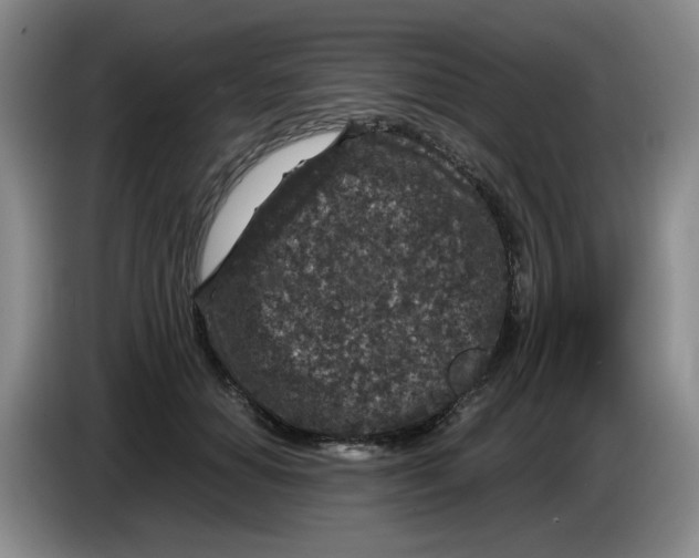 X0000084040654200703092032