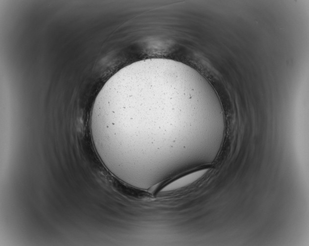 X0000084040655200703092032