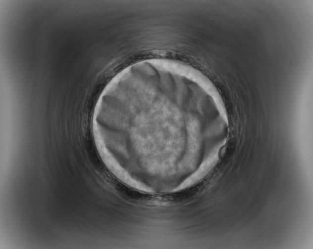 X0000084040656200703092032