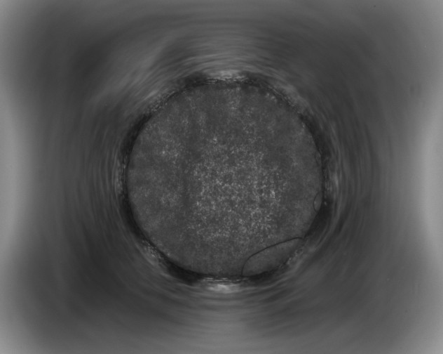 X0000084040658200703092032