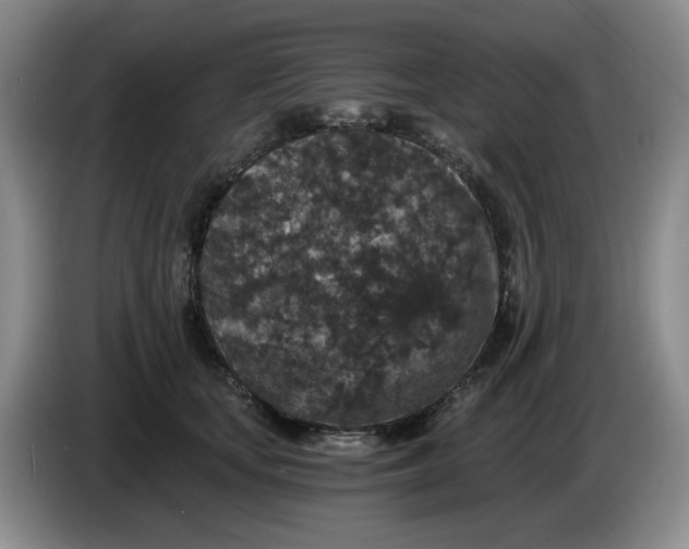 X0000084040659200703092032