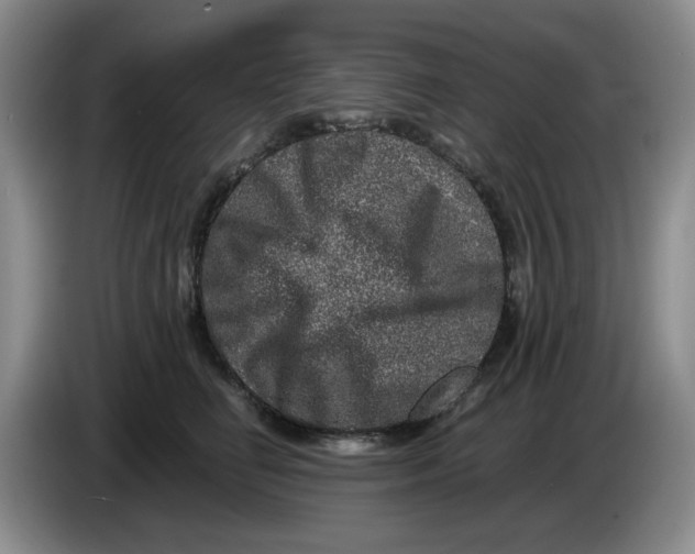 X0000084040662200703092032