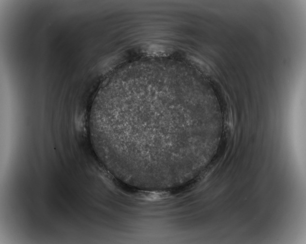 X0000084040663200703092032