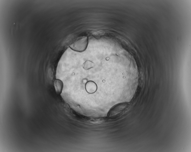 X0000084040667200703092032