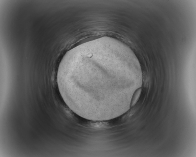 X0000084040670200703092032