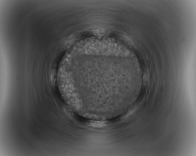 X0000084040671200703092032