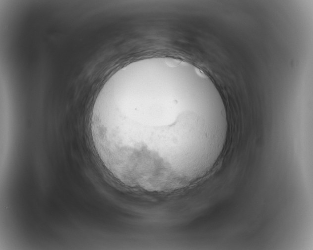 X0000084040672200703092032