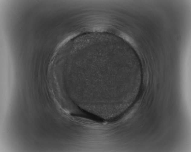 X0000084040673200703092032