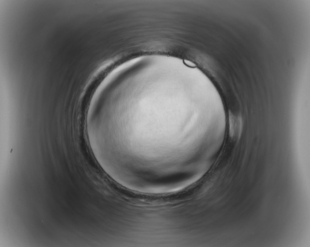 X0000084040675200703092032