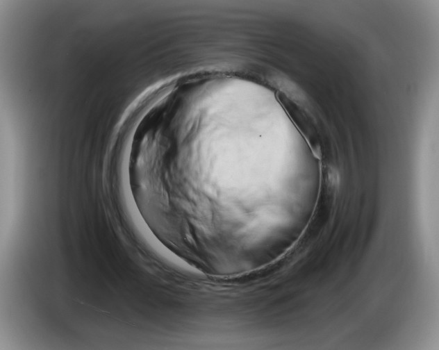 X0000084040676200703092032