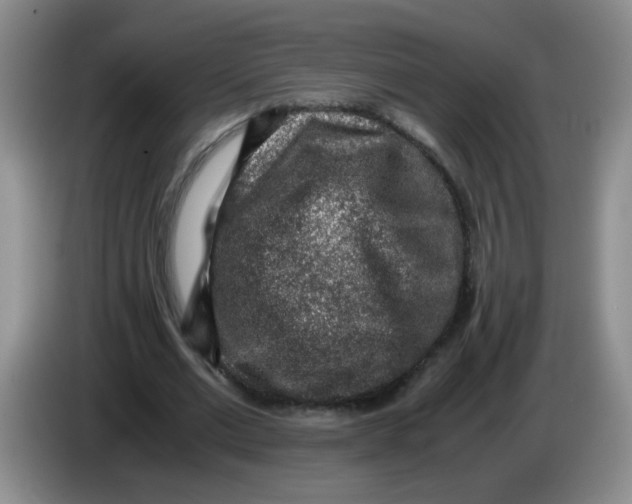 X0000084040677200703092032