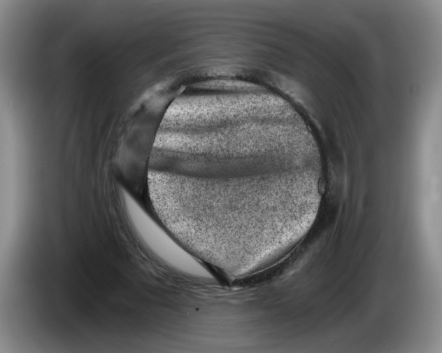 X0000084040681200703092032