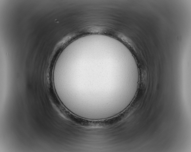 X0000084040682200703092032