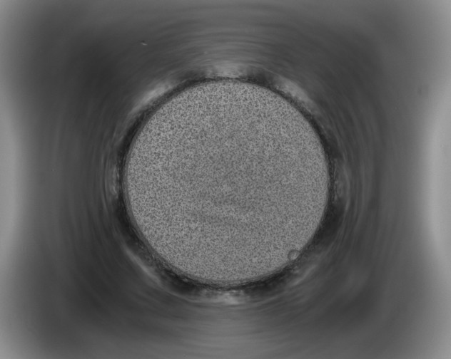 X0000084040683200703092032