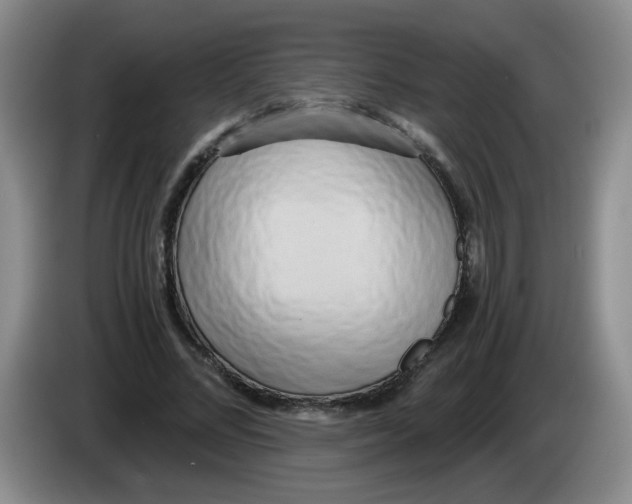 X0000084040684200703092032