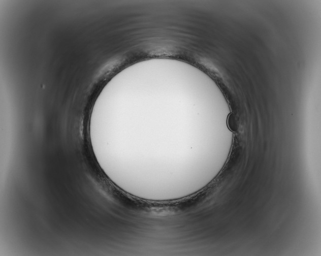 X0000084040686200703092032