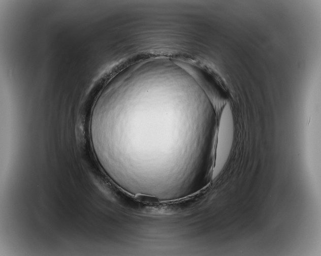 X0000084040688200703092032