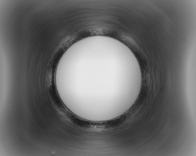 X0000084040694200703092032