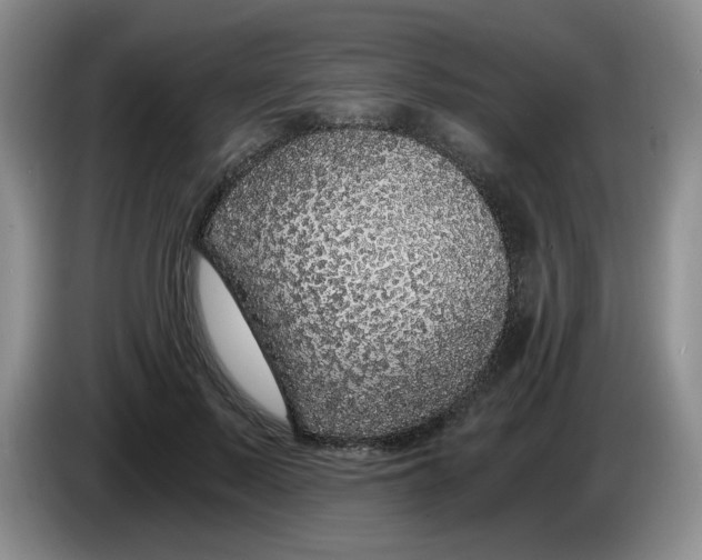 X0000084040695200703092032