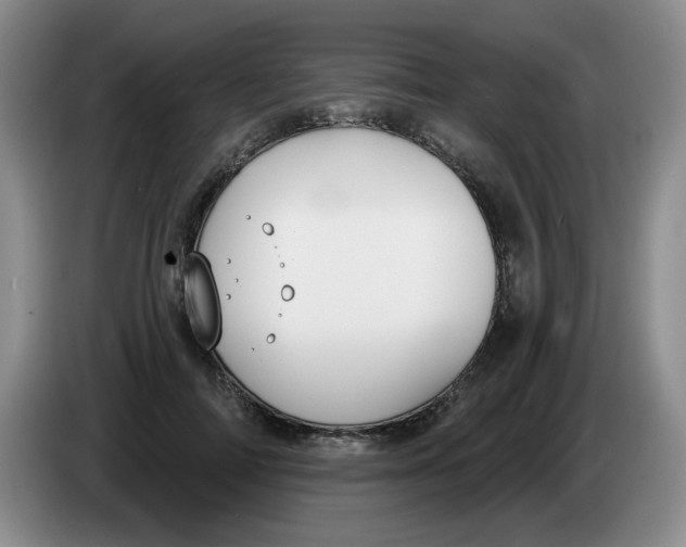 X0000084040698200703092031