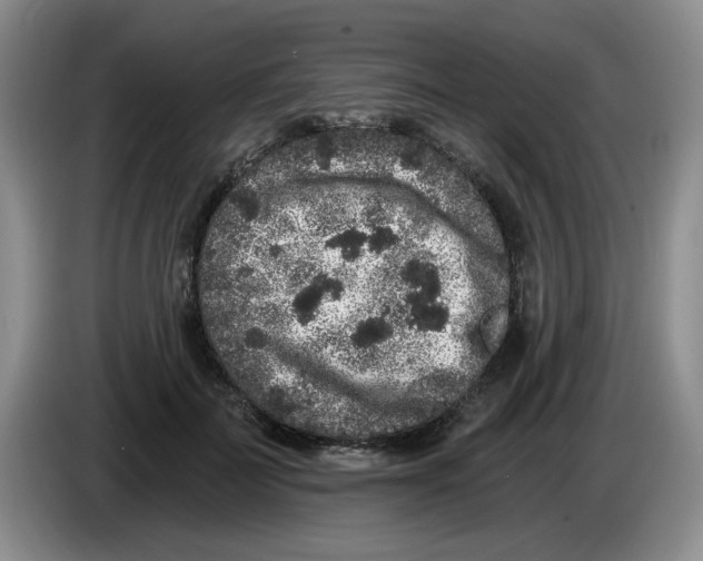 X0000084040699200703092031