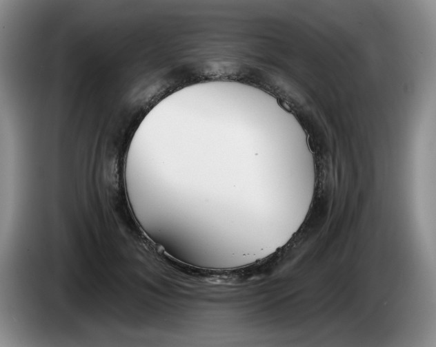 X0000084040700200703092031