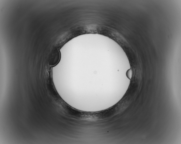 X0000084040702200703092031