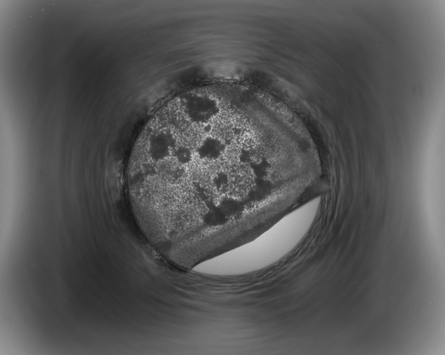 X0000084040707200703092031