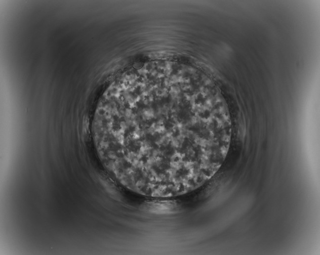 X0000084040711200703092031