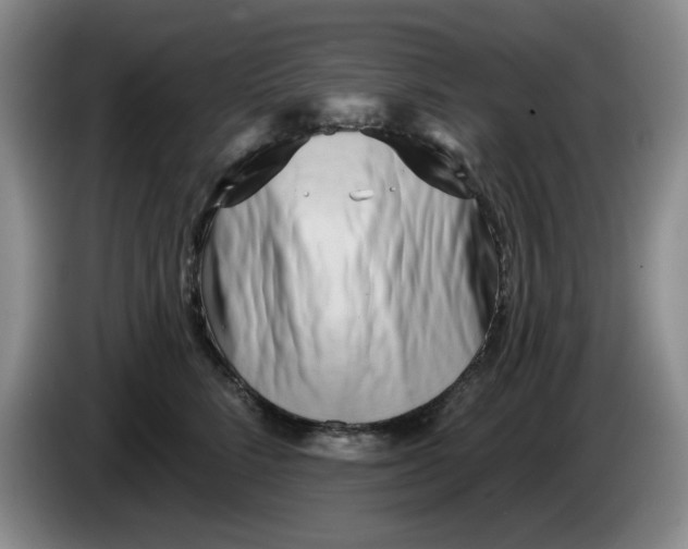 X0000084040712200703092031