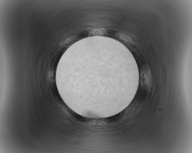 X0000084040714200703092031