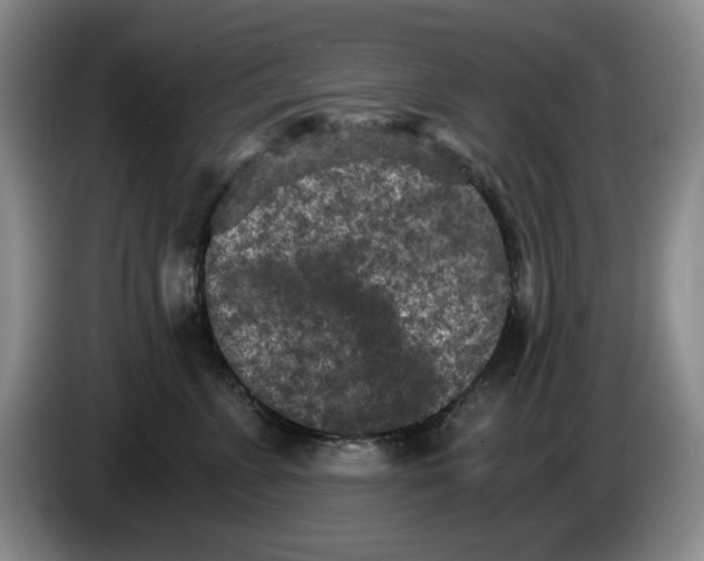 X0000084040715200703092031