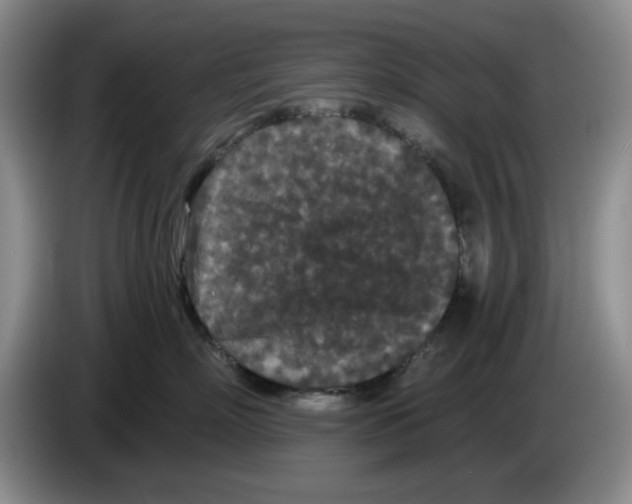 X0000084040718200703092031