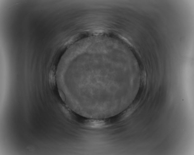 X0000084040719200703092031