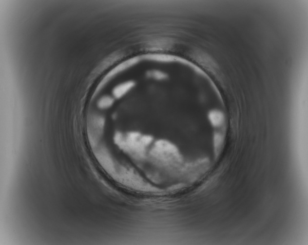 X0000084040721200703092031