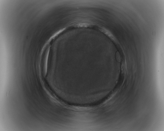 X0000084040722200703092031