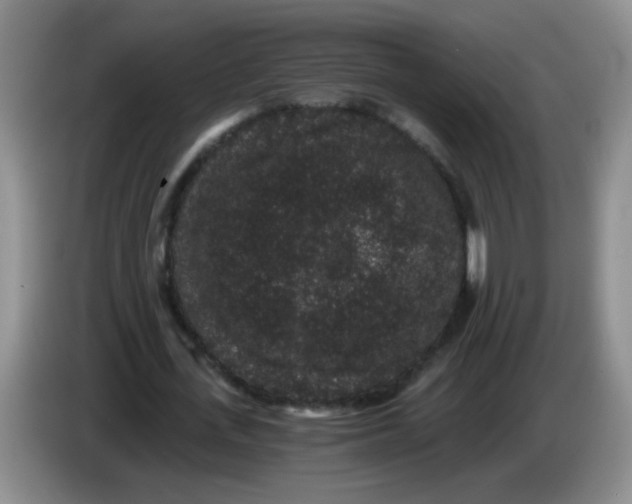 X0000084040723200703092031