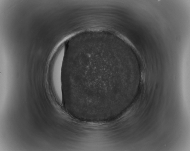 X0000084040724200703092031