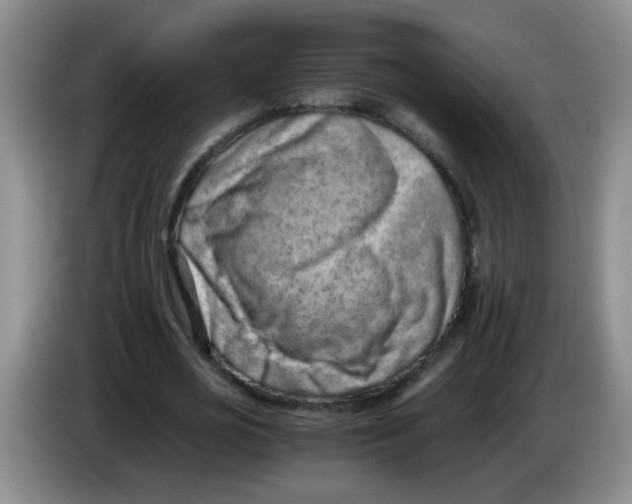 X0000084040725200703092031