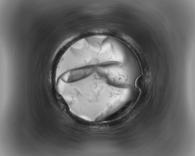 X0000084040727200703092031