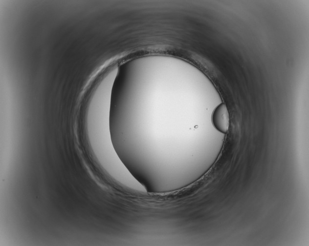 X0000084040728200703092031