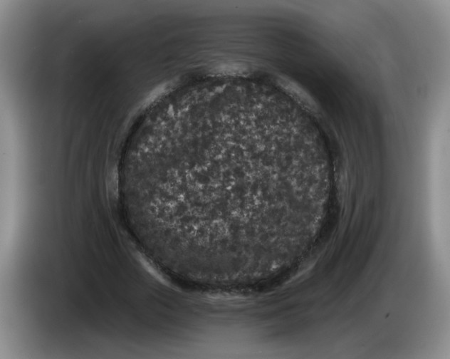 X0000084040729200703092031