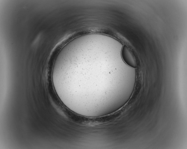 X0000084040730200703092031