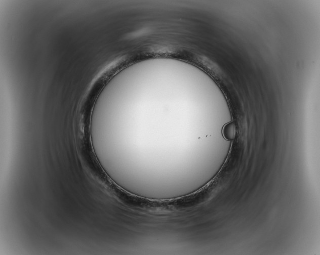 X0000084040731200703092031