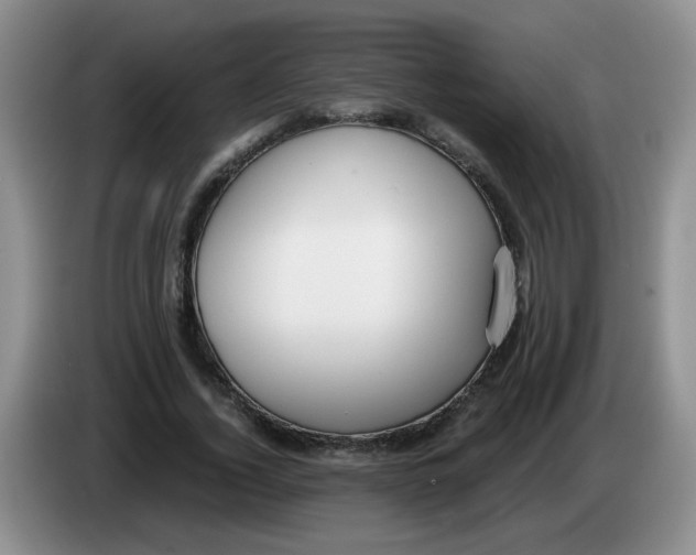 X0000084040732200703092031